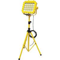 Diffuseur anti-d&eacute;flagration avec tr&eacute;pied, DEL, 40 W, 5600 lumens, Boîtier en Aluminium OCP Construction Supplies