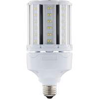Ampoule HID de remplacement s&eacute;lectionnable ULTRA LED, E26, 18 W, 2700 lumens OCP Construction Supplies