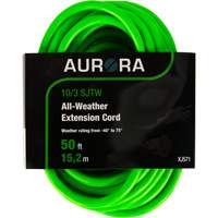 Cordon rallonge de calibre industriel, Toutes saisons, SJTW, AWG 10/3, 15 A, 50' OCP Construction Supplies