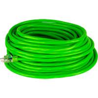 Cordon rallonge de calibre industriel, Toutes saisons, SJTW, AWG 10/3, 15 A, 100' OCP Construction Supplies