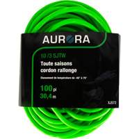 Cordon rallonge de calibre industriel, Toutes saisons, SJTW, AWG 10/3, 15 A, 100' OCP Construction Supplies