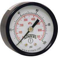 Economy Pressure Gauge, 2" , 0 - 160 psi, Back Mount, Analogue OCP Construction Supplies